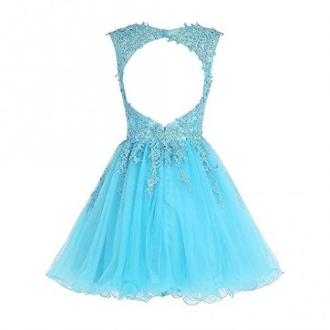 Homecoming Dress Short Cocktail Dress Lace Homecoming Dress Tulle Appliques Prom Dresses V Neck
