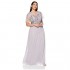 Adrianna Papell Women's Plus Size Beaded Bodice Flutter Sleeve Chiffon Gown