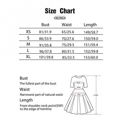 Dressystar Women Halter Formal Dress Floral Lace Chiffon Long Bridesmaid Evening Party Gown