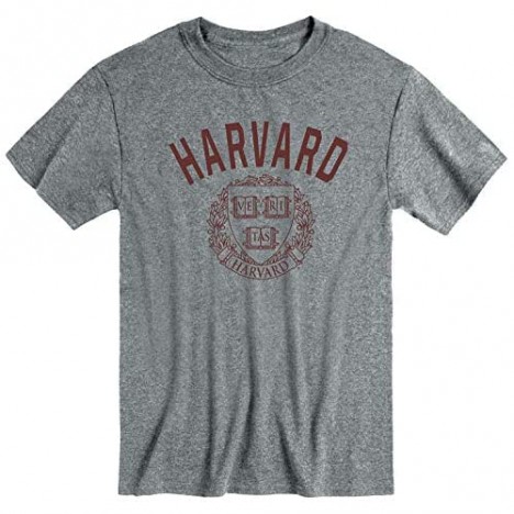 Ivysport Short Sleeve T-Shirt Cotton Poly Blend Heritage Logo Grey