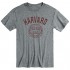 Ivysport Short Sleeve T-Shirt  Cotton Poly Blend  Heritage Logo  Grey