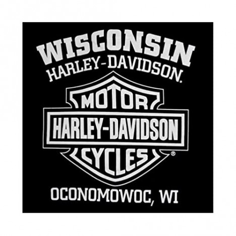 Harley-Davidson Men's Sweatshirt Willie G Skull H-D Pullover Black 30296648