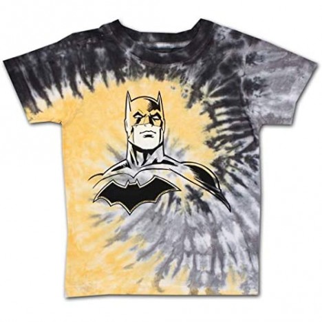 BATMAN Warner Bros Boy's 2 Pack Short Sleeve Shirt and Short Set