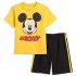 Disney Mickey Mouse Baby and Toddler T-Shirt and Mesh Shorts Set