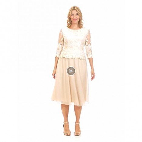 Alex Evenings Women's Tea Length Sequin Mock Dress (Petite and Regular)